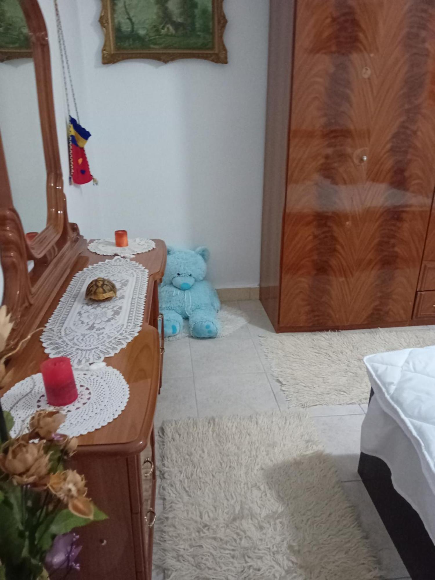 Olivia Guesthouse Gjirokastra Kültér fotó